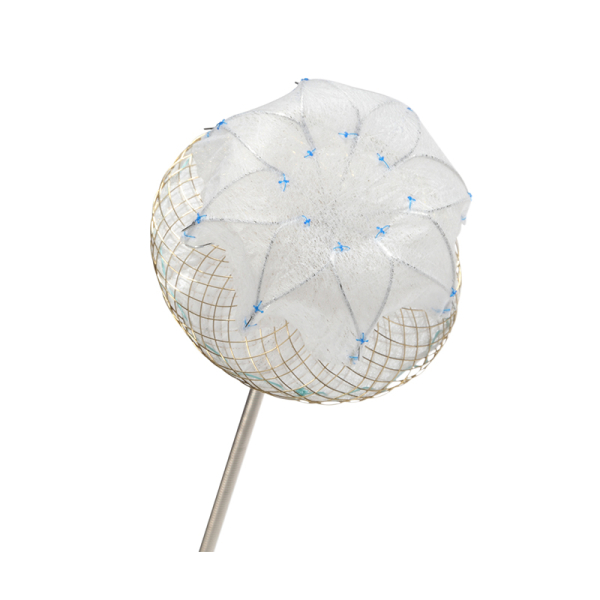 郎布爾左心耳封堵器 LAmbre LAA Occluder